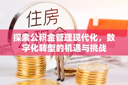 武强探索公积金管理现代化，数字化转型的机遇与挑战