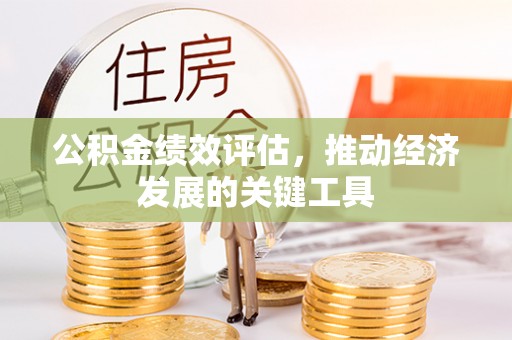 武强公积金绩效评估，推动经济发展的关键工具