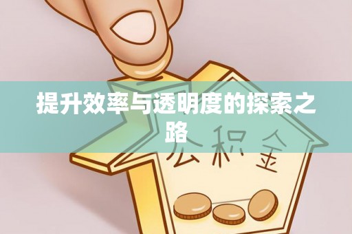武强提升效率与透明度的探索之路