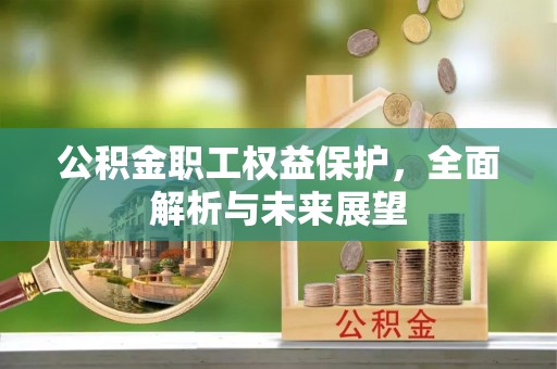 武强公积金职工权益保护，全面解析与未来展望