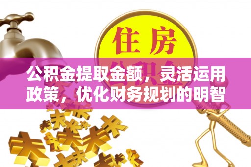 武强公积金提取金额，灵活运用政策，优化财务规划的明智选择