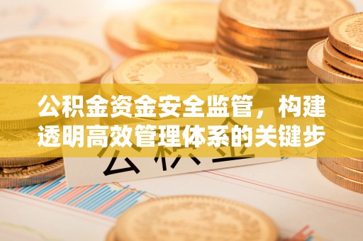 武强公积金资金安全监管，构建透明高效管理体系的关键步骤