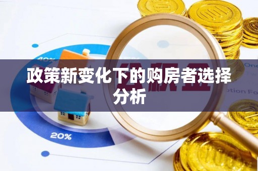 武强政策新变化下的购房者选择分析