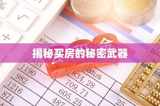 武强揭秘买房的秘密武器