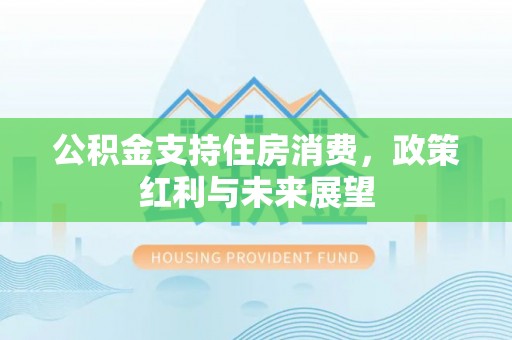 武强公积金支持住房消费，政策红利与未来展望