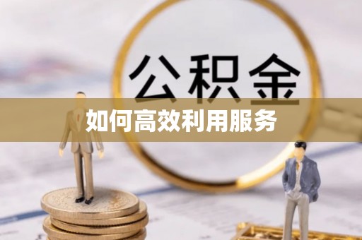 武强如何高效利用服务