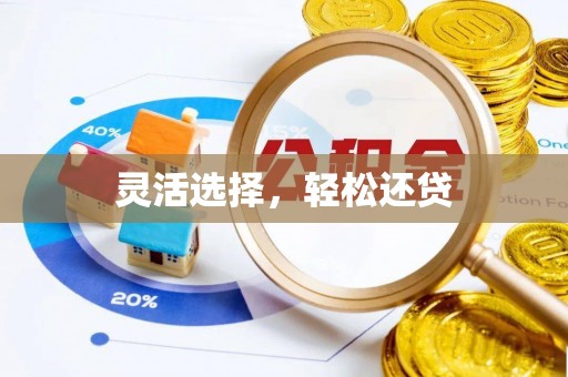 武强灵活选择，轻松还贷