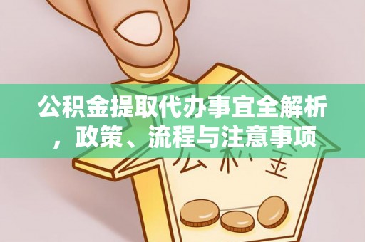 武强公积金提取代办事宜全解析，政策、流程与注意事项