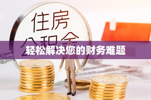 武强轻松解决您的财务难题