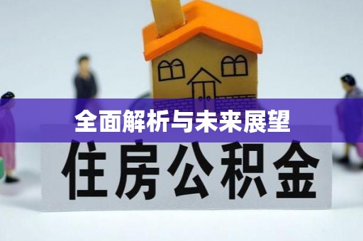 武强全面解析与未来展望
