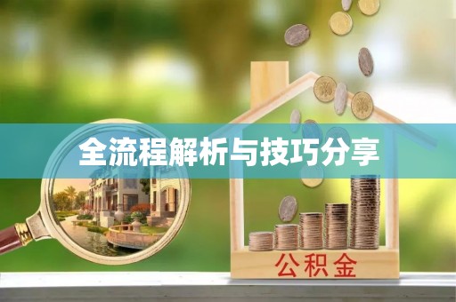 武强全流程解析与技巧分享