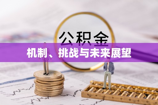 武强机制、挑战与未来展望