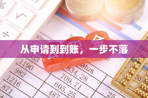 武强从申请到到账，一步不落