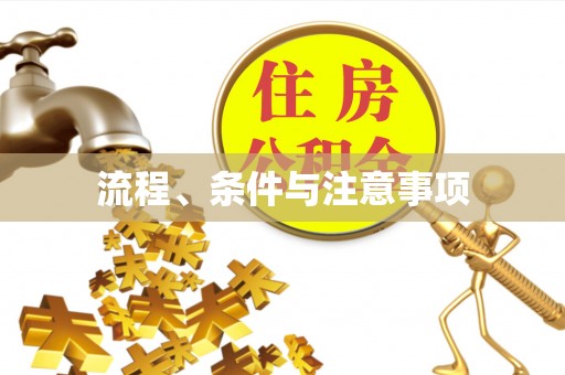 武强流程、条件与注意事项