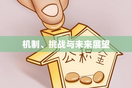 武强机制、挑战与未来展望